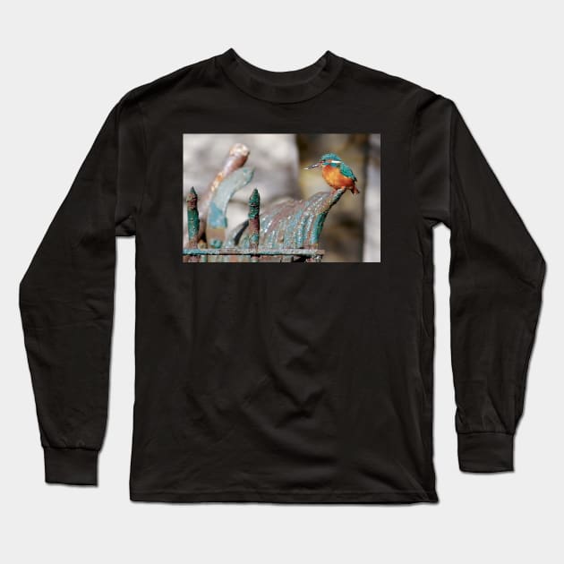 King fisher on a fence blending in . Long Sleeve T-Shirt by Simon-dell